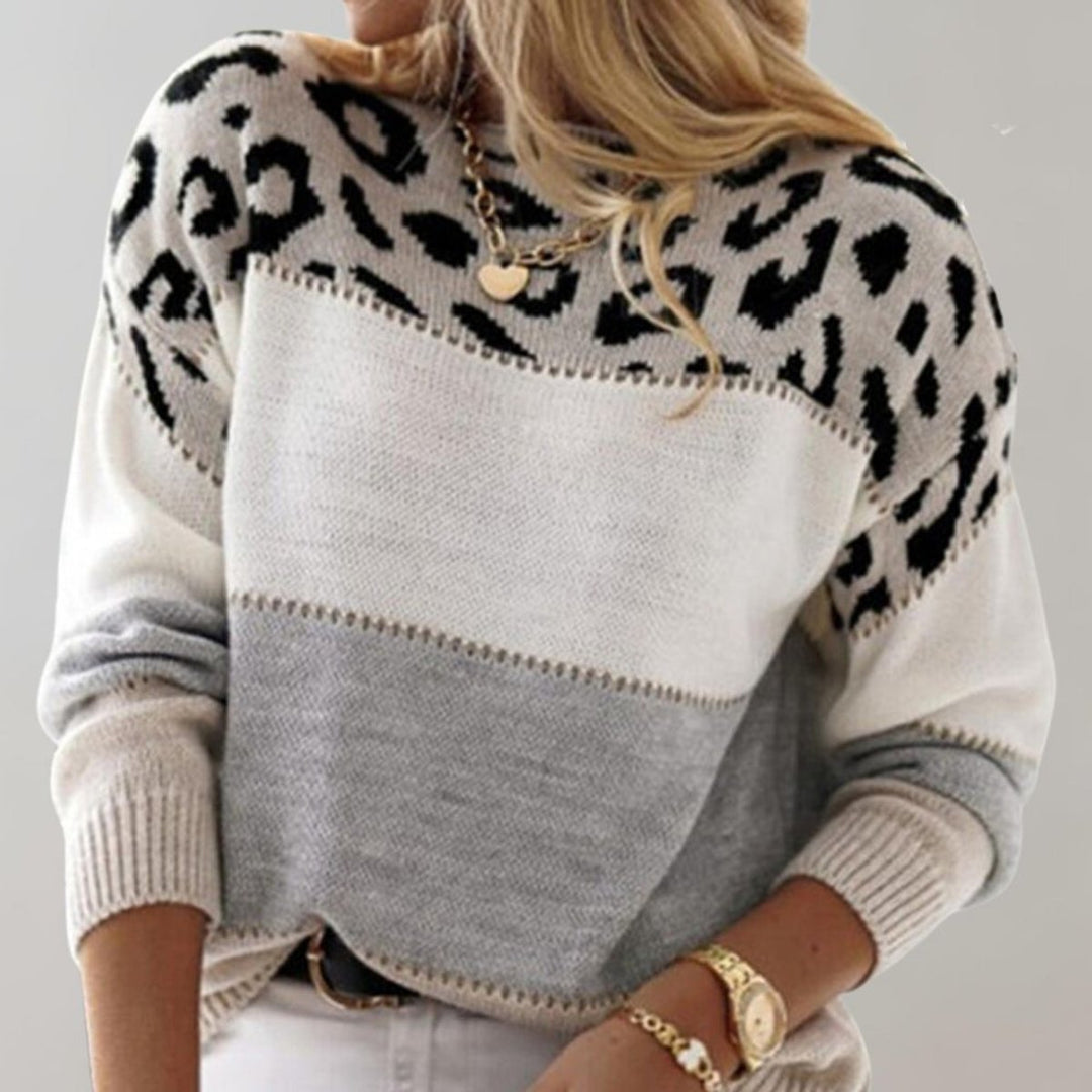 Women's Colour-Block Leopard-Print Knit Jumper