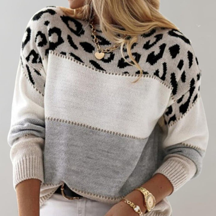 Women's Colour-Block Leopard-Print Knit Jumper