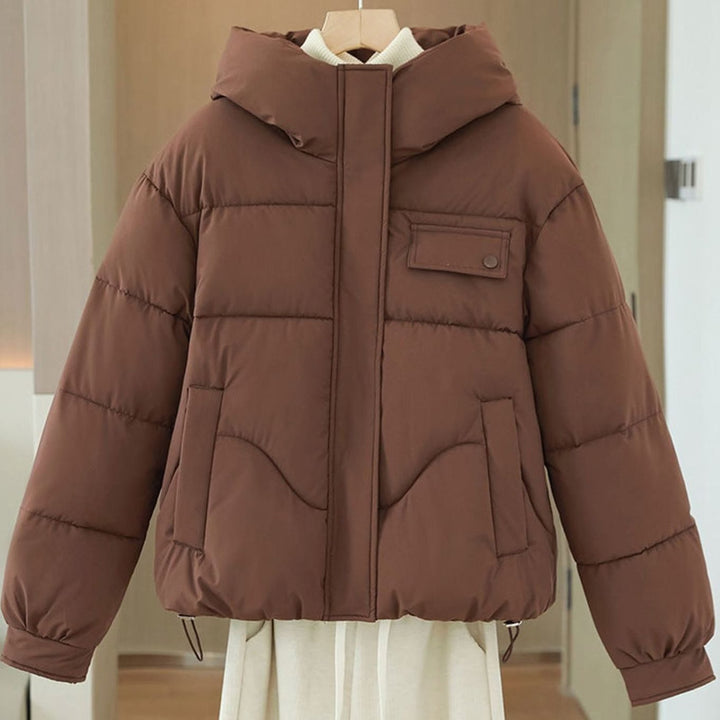 Women's Hooded Cropped Boxy Puffer Jacket Hidden Zip - Brown