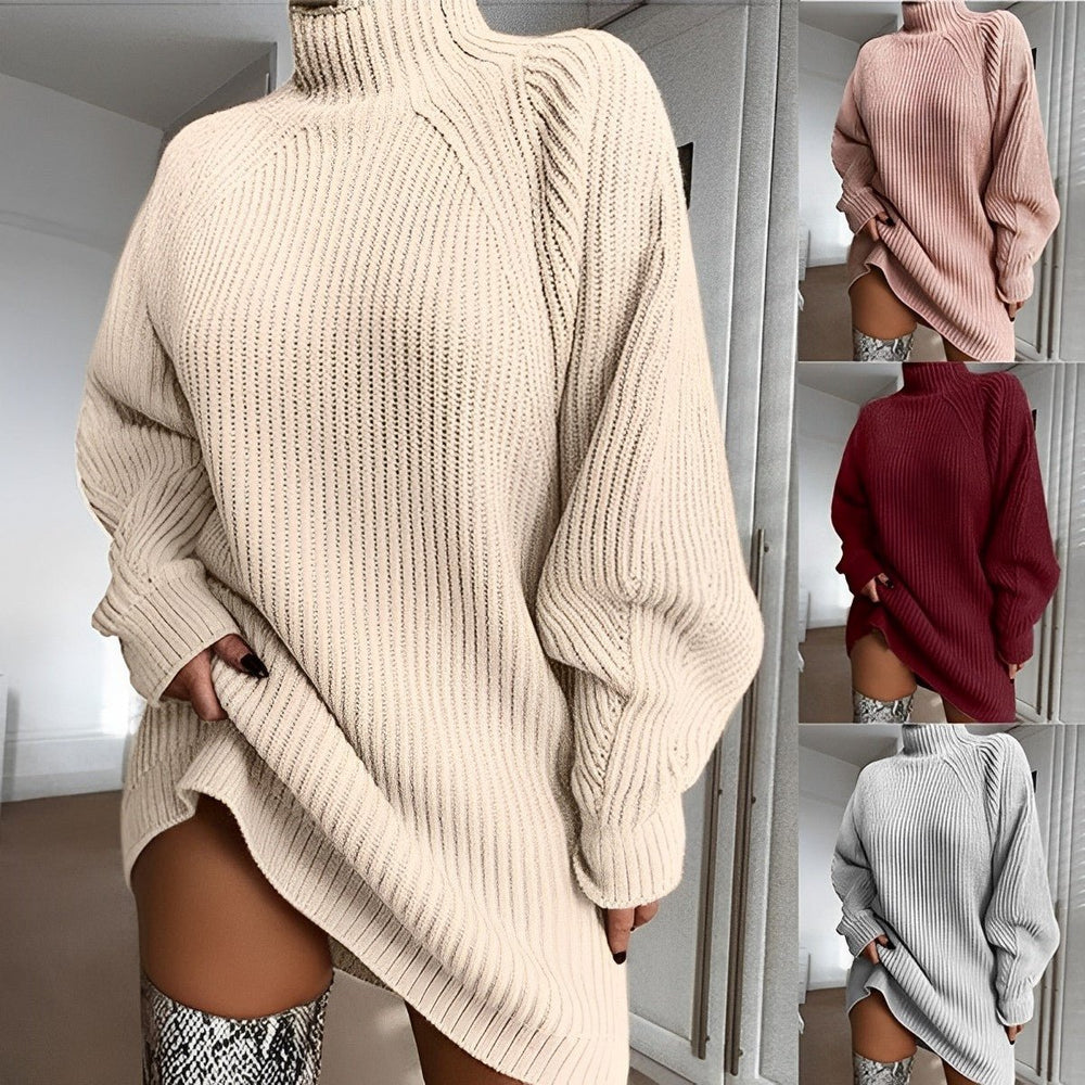 Women's Oversized Turtleneck Ribbed Knitted Dress