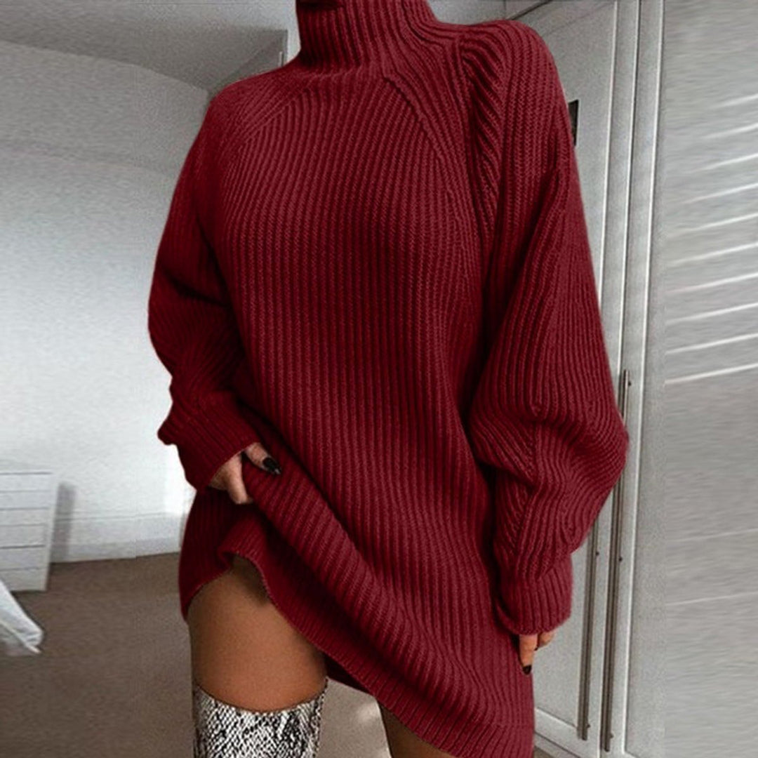 Women's Oversized Turtleneck Ribbed Knitted Dress