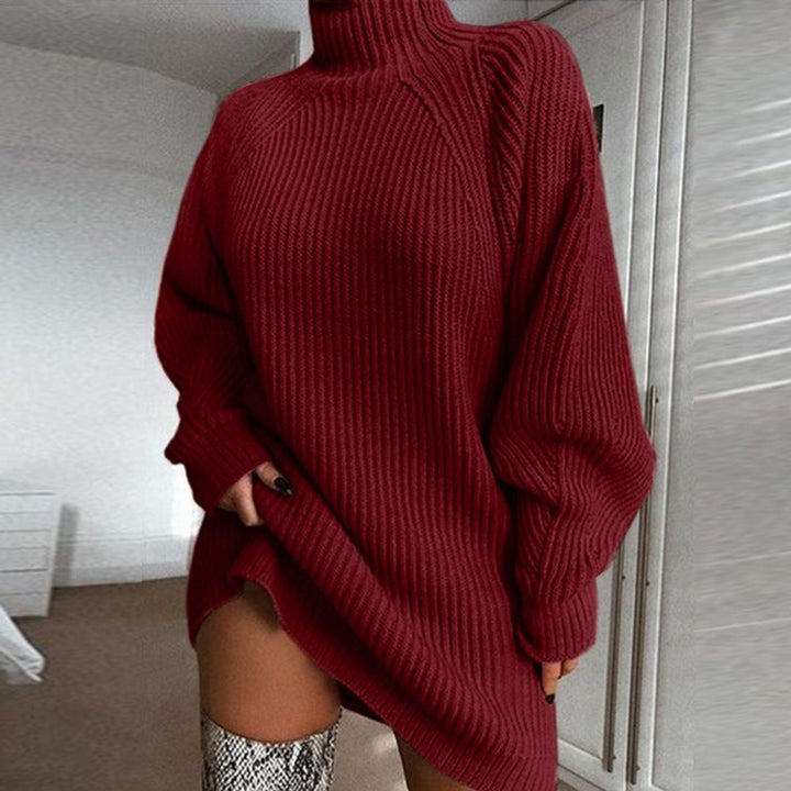 Women's Oversized Turtleneck Ribbed Knitted Dress