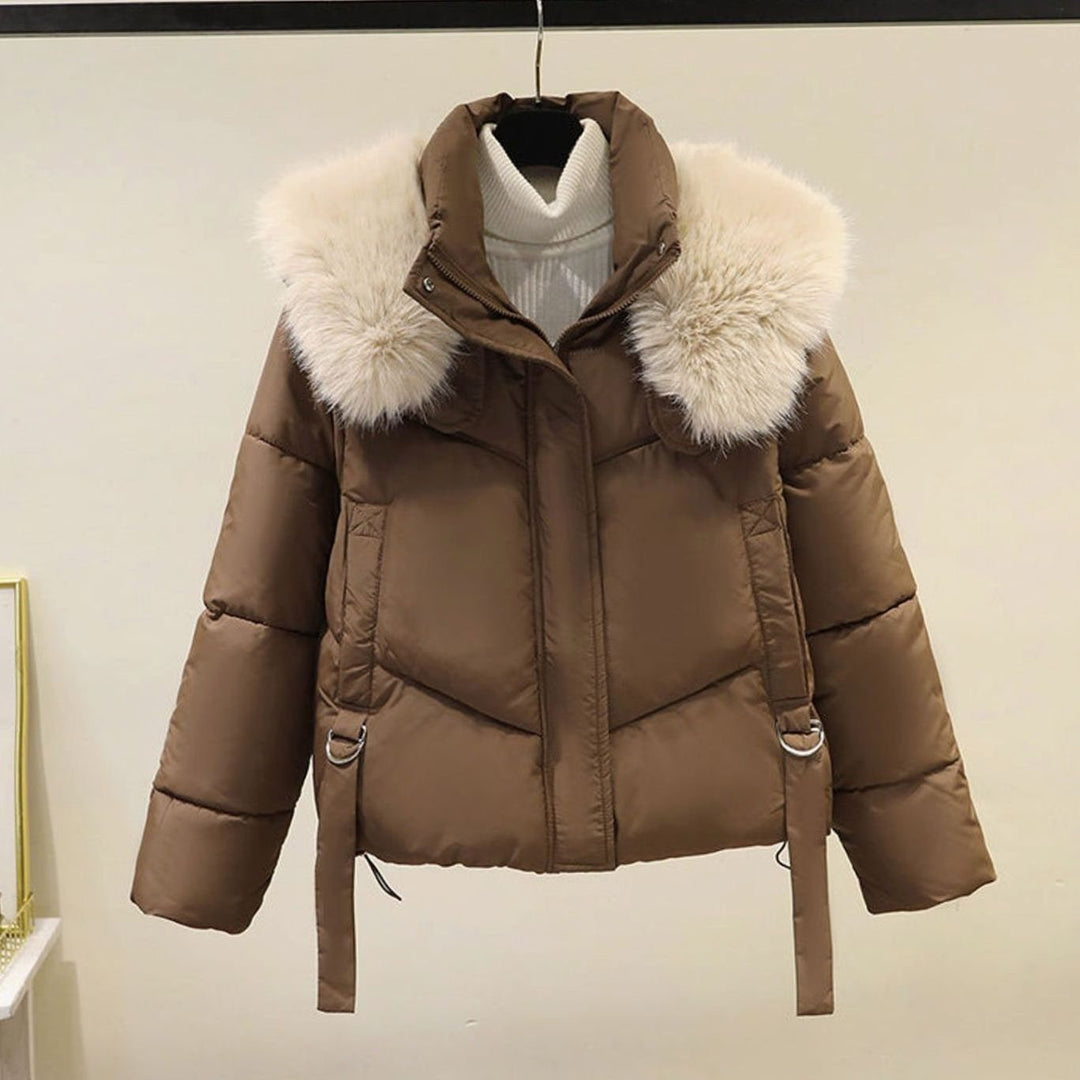 Women's Short Faux Fur Collar Belted Puffer Jacket - Brown
