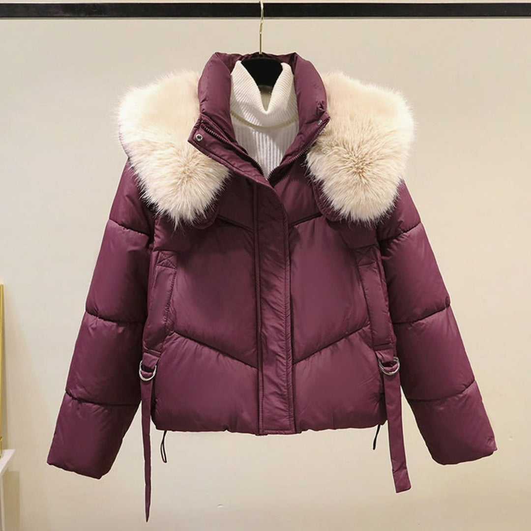 Women's Short Faux Fur Collar Belted Puffer Jacket - Burgundy