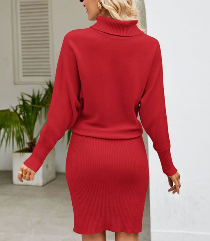 Women's Turtleneck Batwing-Sleeve Ribbed Knitted Dress